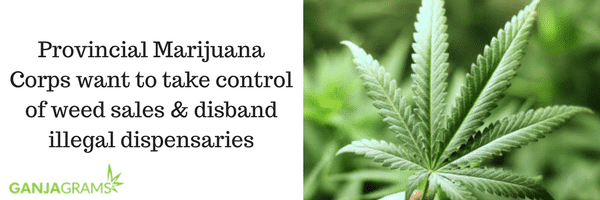 Provincial Marijuana Corps want to take control of weed sales & disband illegal dispensaries