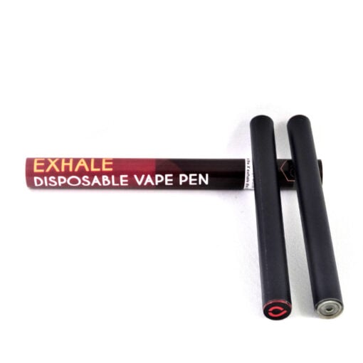 XO Disposable Vape Pen