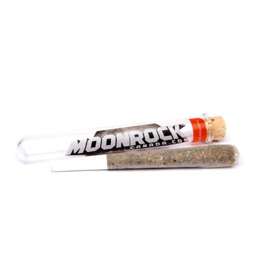 Pumpkin Spice - 1.2g