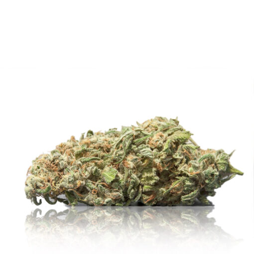 Comatose OG - Indica