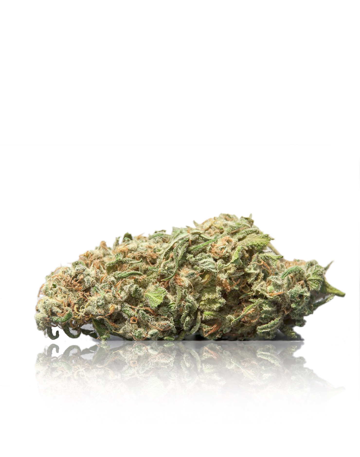 Comatose OG - Indica