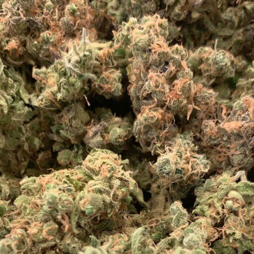 Blue Cheese - Indica-Dominant