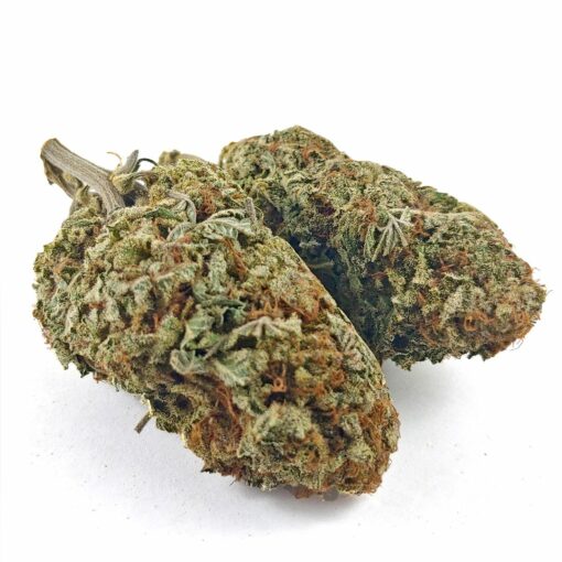 Alternative view of (AAA) Snow White