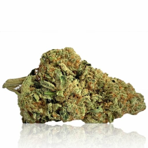 Sativa Dominant Hybrid - 90% Sativa / 10% Indica