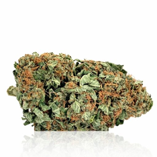 Indica