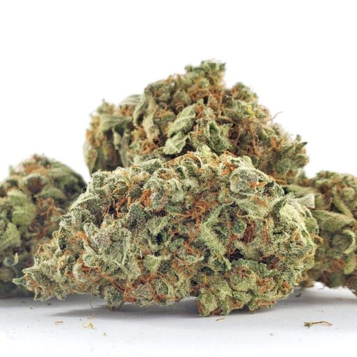Power Plant - Hybrid