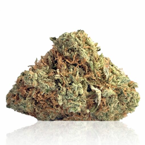 BC Mango - Indica