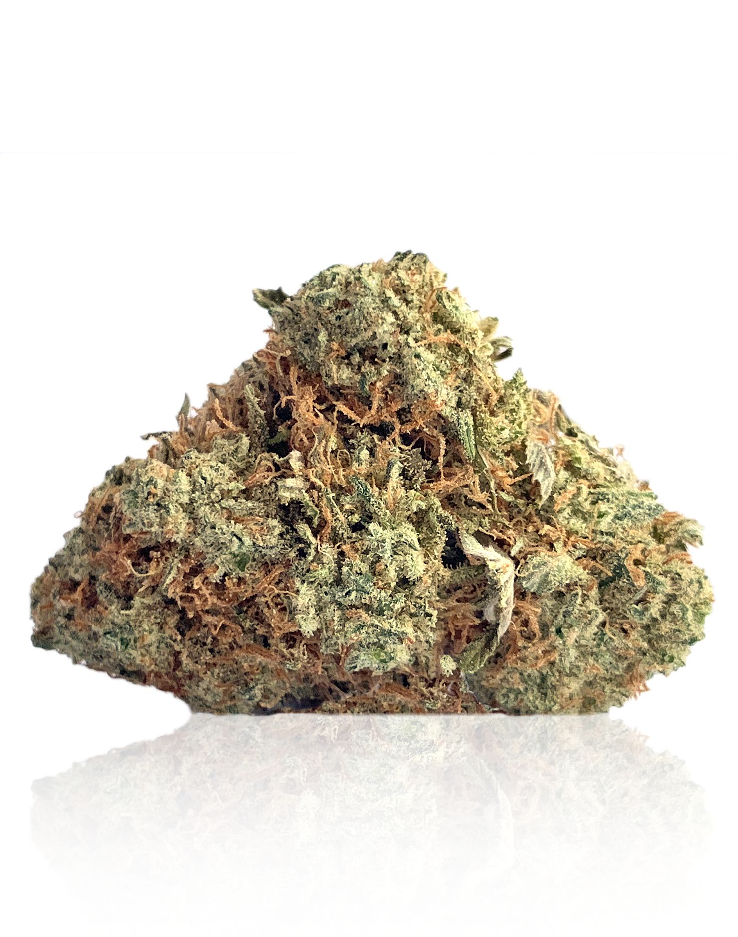 BC Mango - Indica