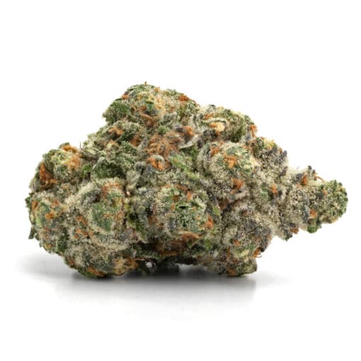 Sherbet (seeds) (AAA)