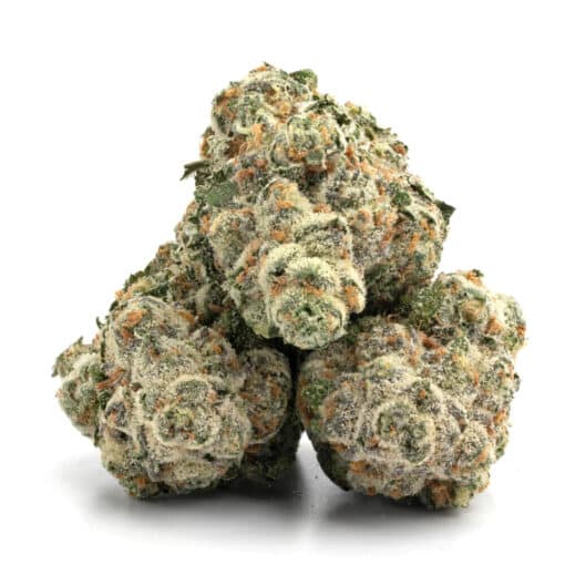 Alternative view of Sherbet (seeds) (AAA)