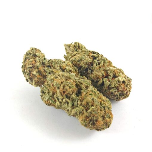 Alternative view of Willy Wonka (AAAA)