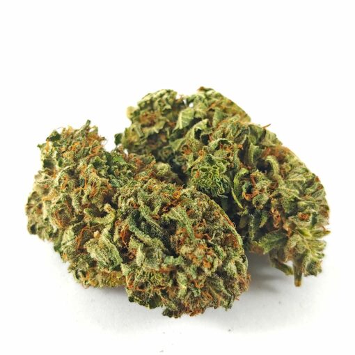 Alternative view of (AAA-) King Bubba