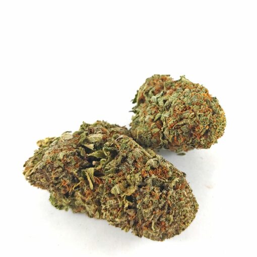 Alternative view of (AAA+) Purple Icewreck