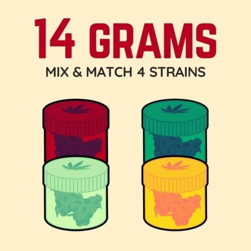 14 Gram Mix & Match