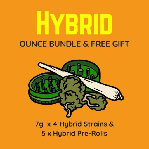 Hybrid Bundle Pack