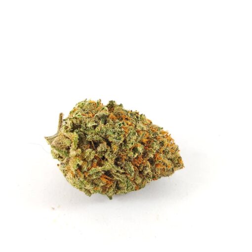 (AAA) Nuken