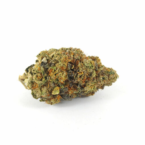(AAAA) Jungle Cake