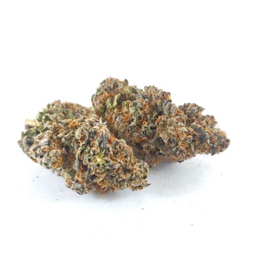 Alternative view of (AAAA) Gelato Sorbet Pie