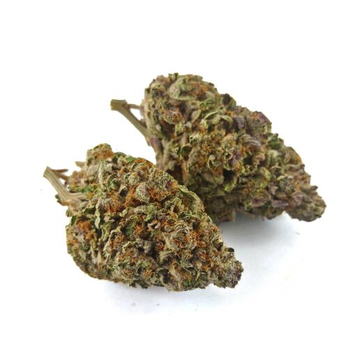 Alternative view of Cherry Punch