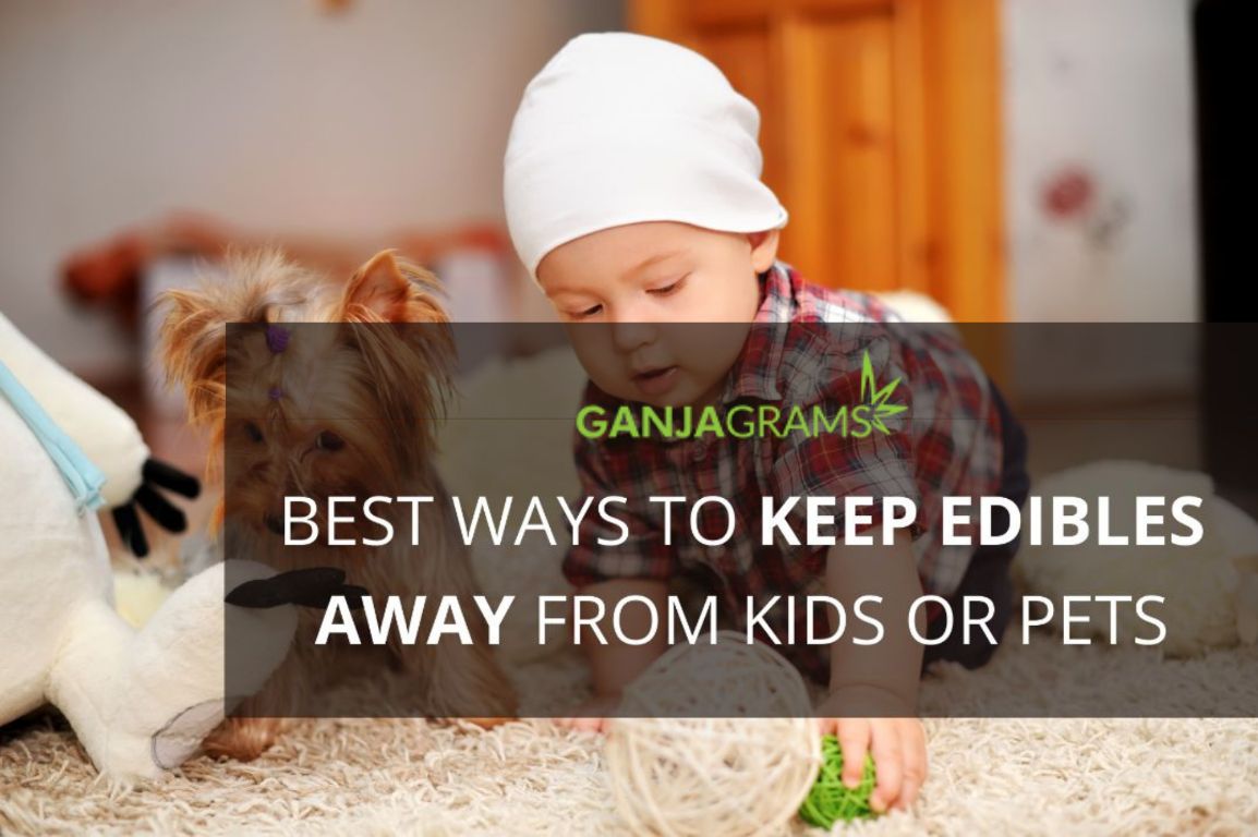 Best Ways To Keep Edibles Away From Kids Or Pets