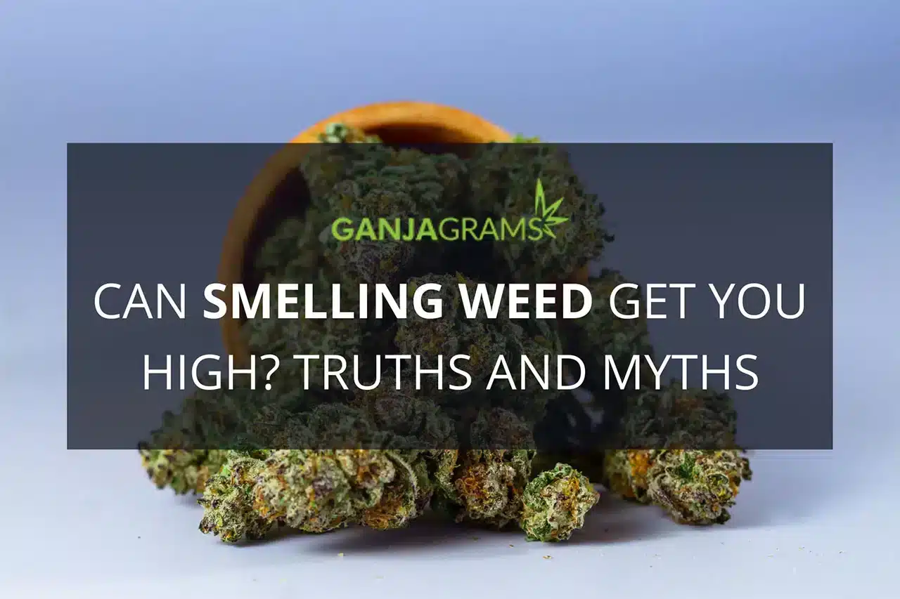 can-smelling-weed-get-you-high