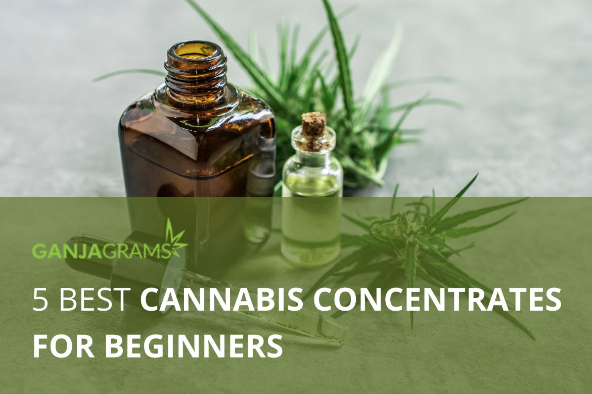 Cannabis concentrate