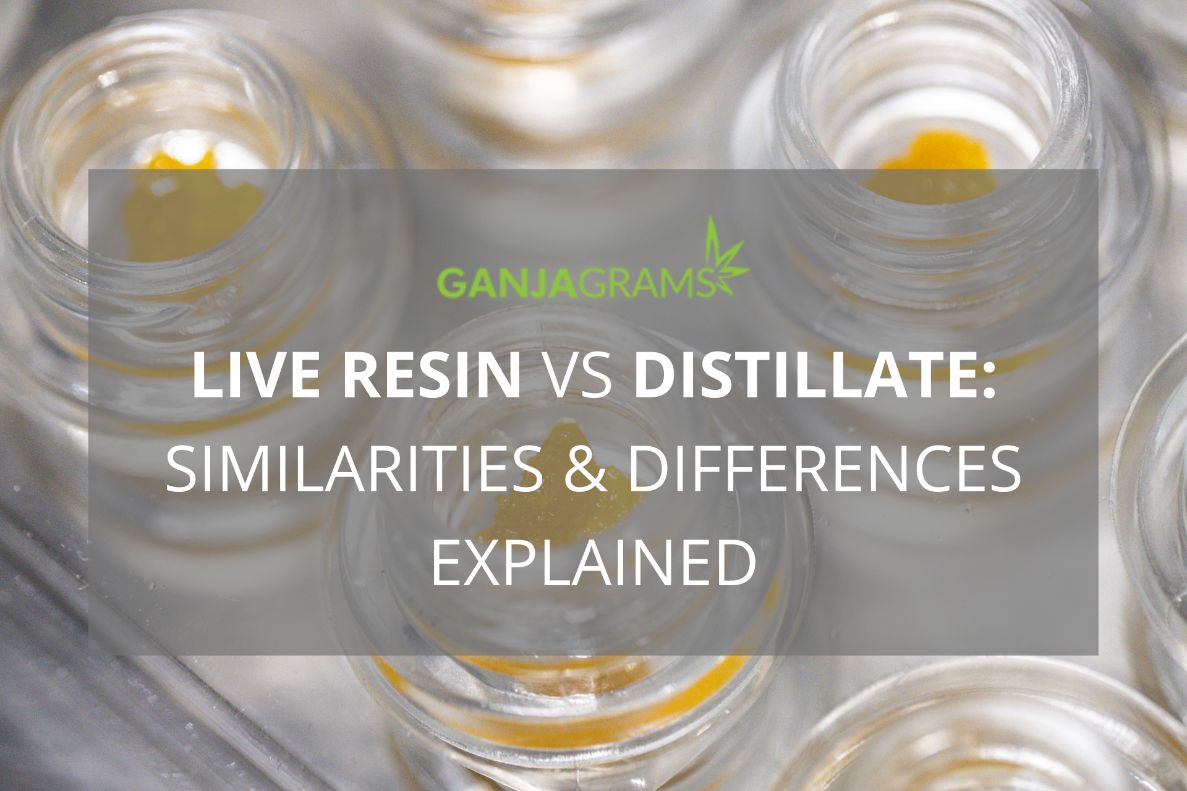 Live Resin VS Distillate