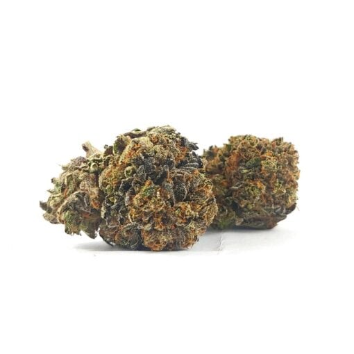 Black Tuna (AAA+)