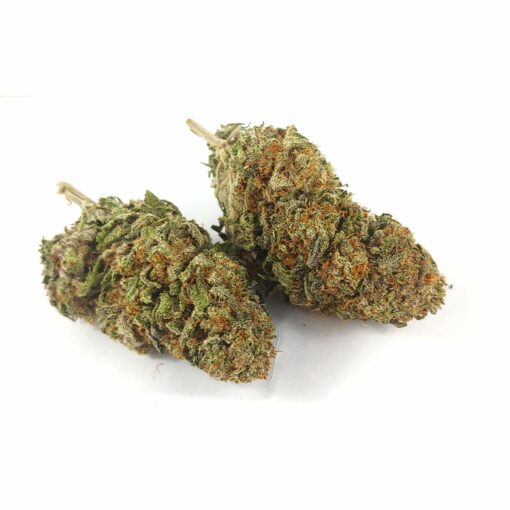 Alternative view of Cherry Bomb