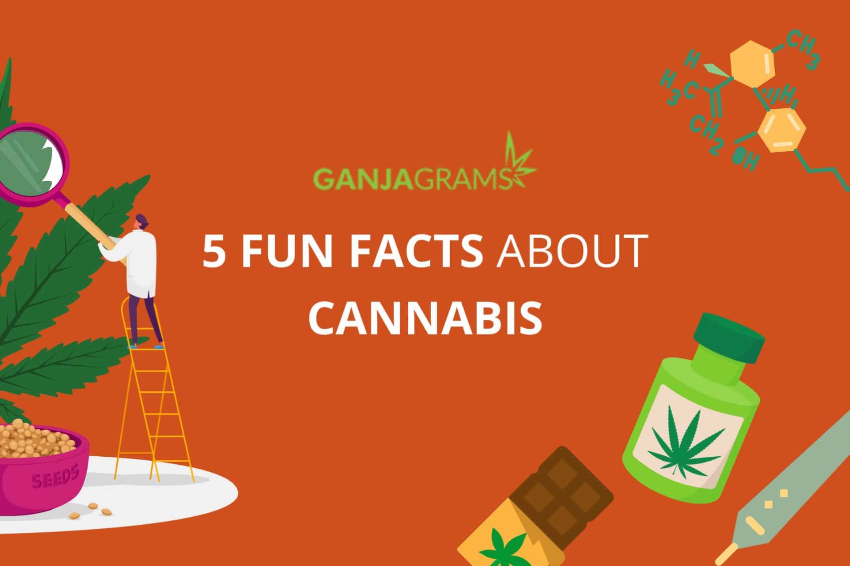 Fun facts