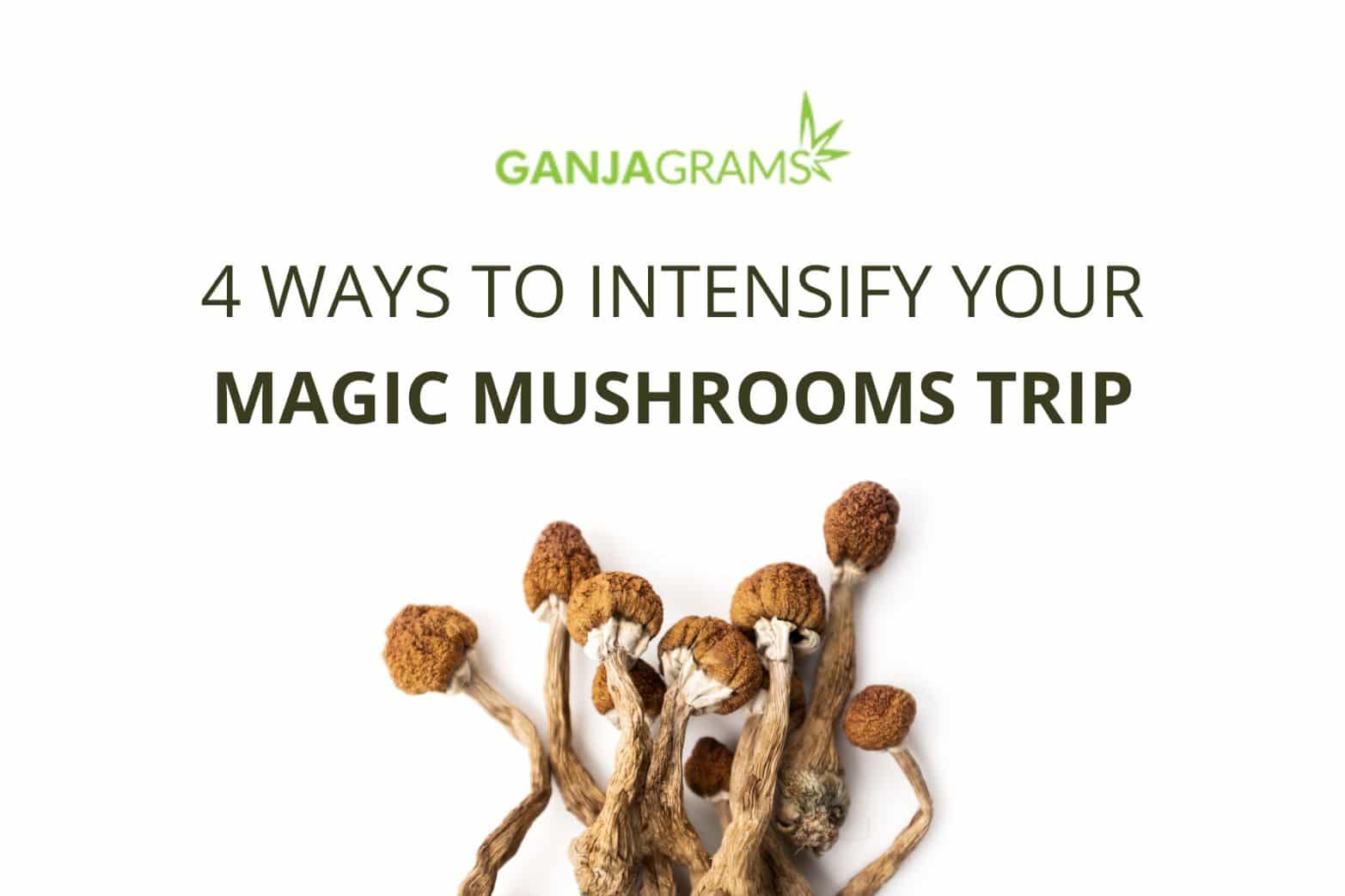 Magic mushrooms