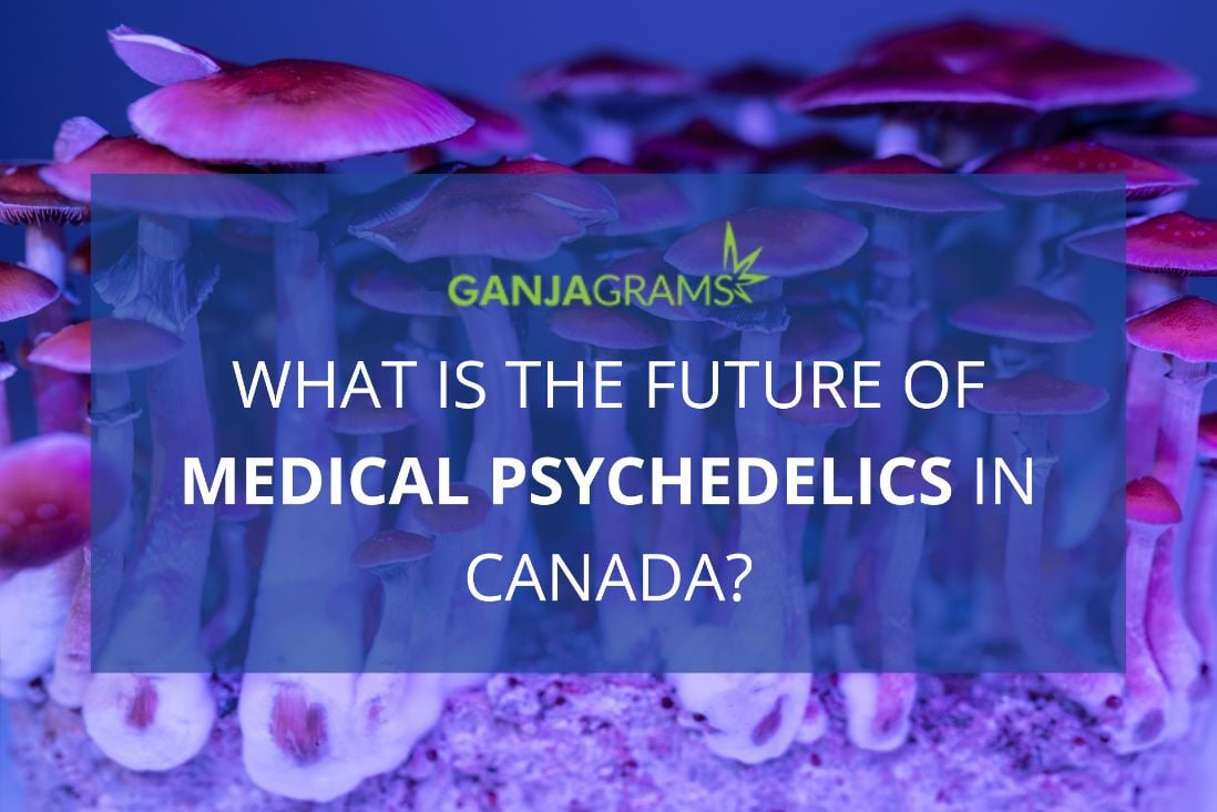 Medical Psychedelics