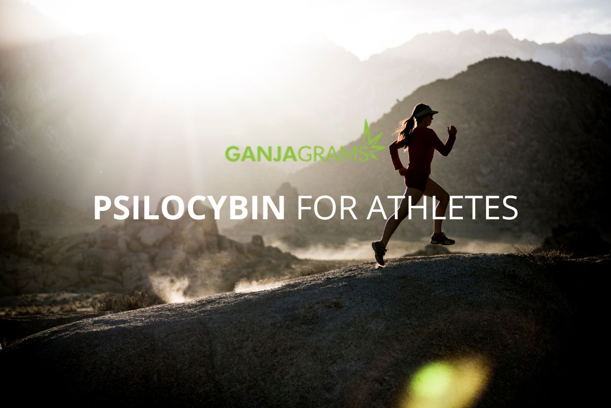 Shrooms for athletes