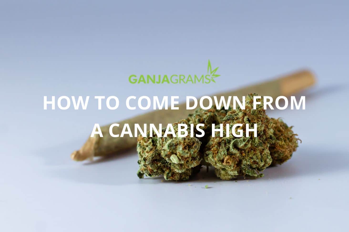 Cannabis high