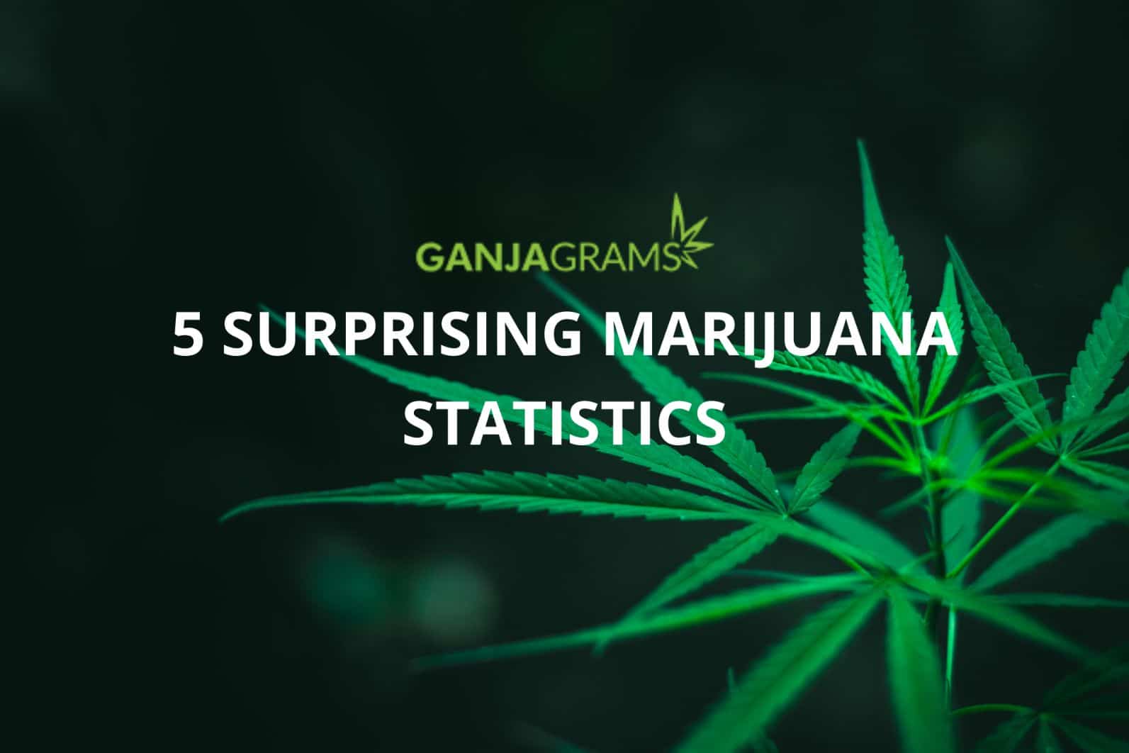 Marijuana