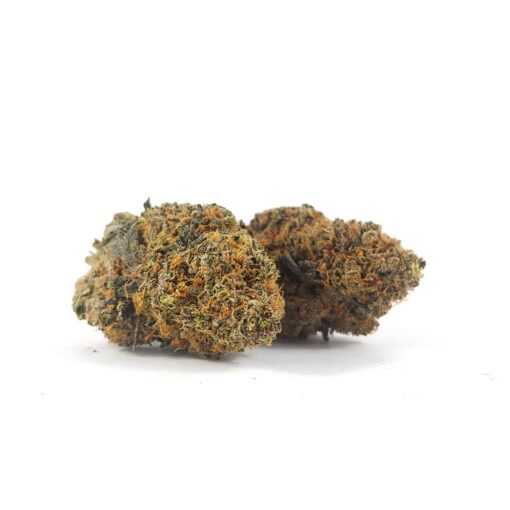 Alternative view of Black Cherry Soda