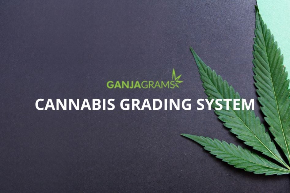 Grading system
