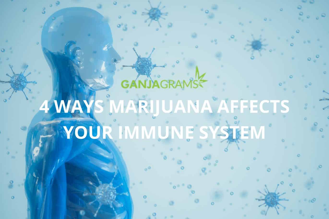 Immune system