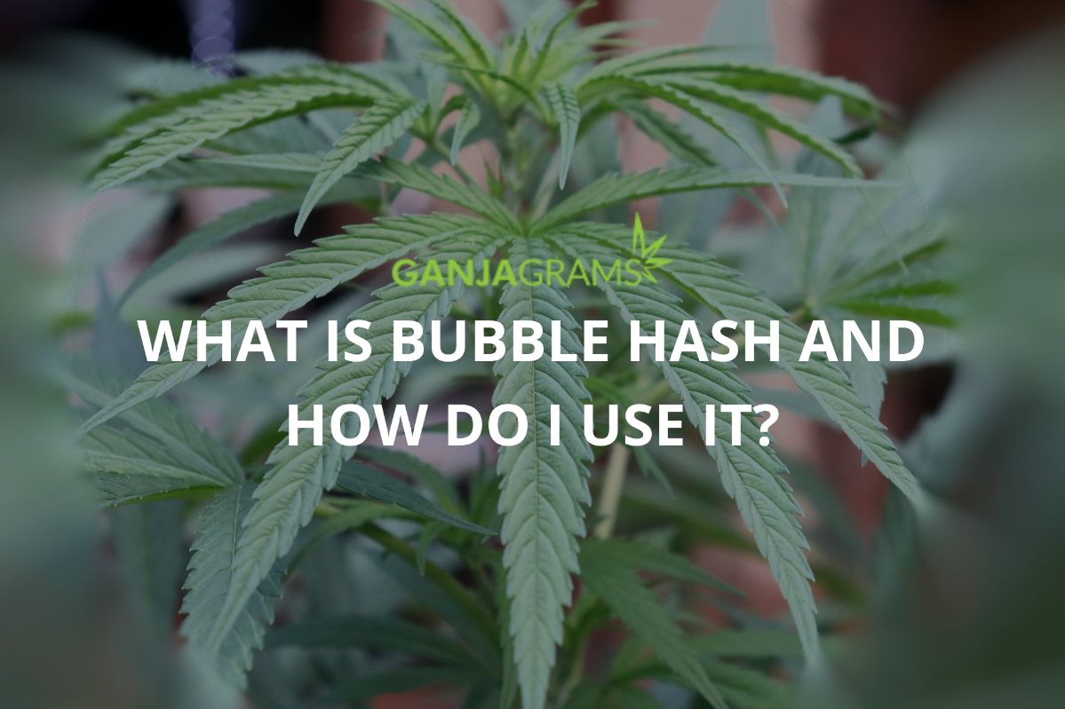 bubble hash