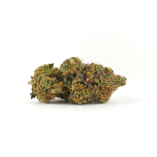 Grease Monkey (AAA)