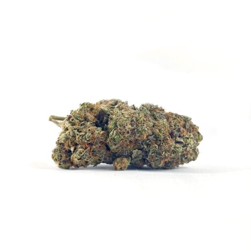 Alien Cookies (AAA)