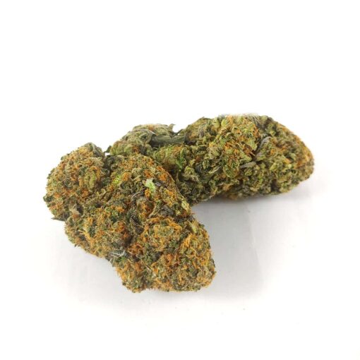 Alternative view of White Rhino