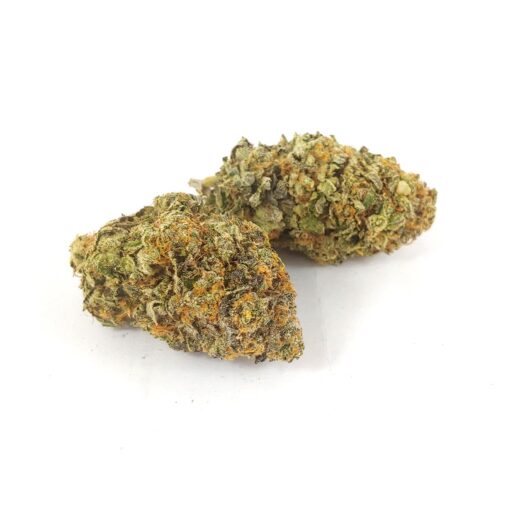 Alternative view of Gas Mask (AAA+)