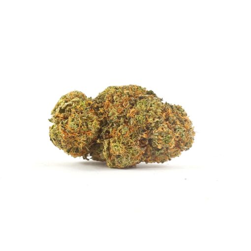 Elmer's Glue (AAA)