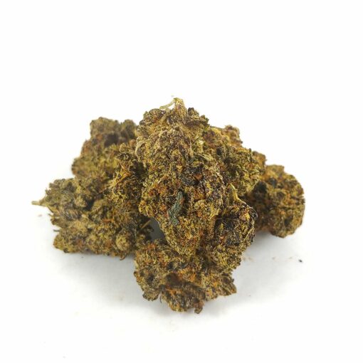 White Truffle