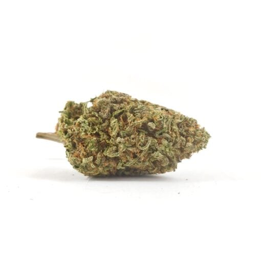 Candyland (AAA)