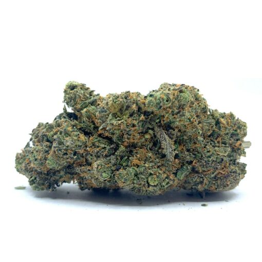 Black Truffle (AAA)