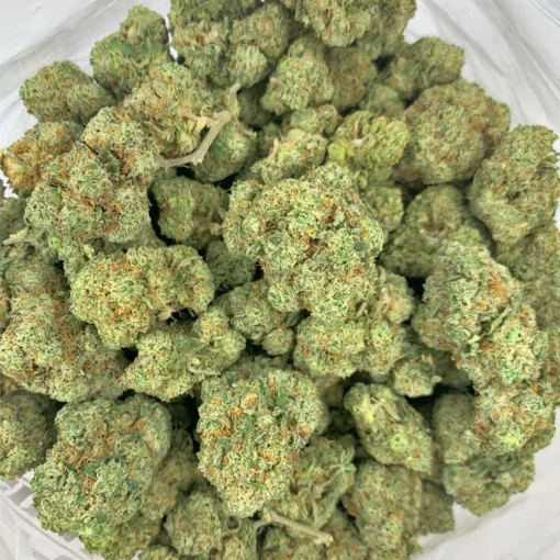 Donkey Butter Bulk Flower