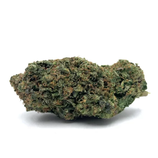 el chapo nug