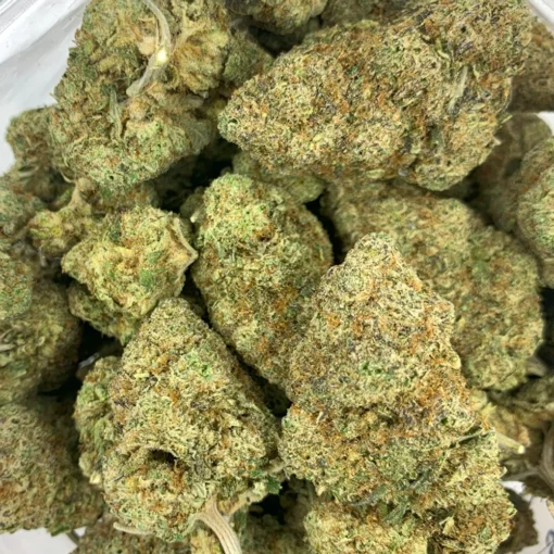 Gary Payton Bulk Flower
